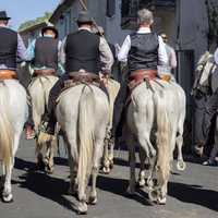 Camargue Guardians on Horseback