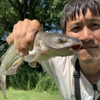 Chinese man with successful channel catfish catch