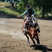 Cowboy on horse at Rodeo
