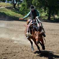cowboy-on-horse-at-rodeo