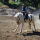 cowboy-on-white-horse-rodeo