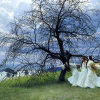 Dancing Maidens by a tree