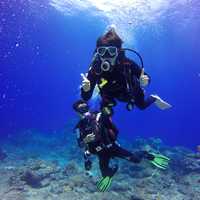 Divers underwater free image