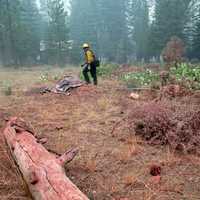 Firefighter fighting forest fires