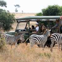 First Lady Melania Trump on a Safari looking at Zebras