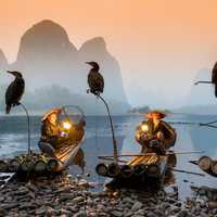 fishing-with-watercraft-and-cormorants