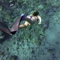 girl-scuba-diving-in-the-ocean