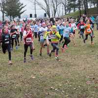 group-of-girls-participating-in-a-race