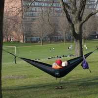 guy-in-a-hammock