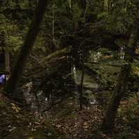 Guy sitting next to the spring pondering life