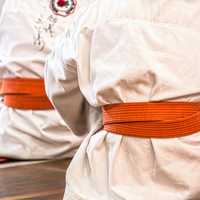 karate-orange-belts-in-a-dojo