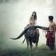 man-leading-woman-riding-an-ox