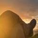 man-resting-at-sunset-looking-at-the-view