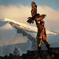 Man with Eagle Pet free image