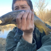 Man holding Catch of Brown Trout