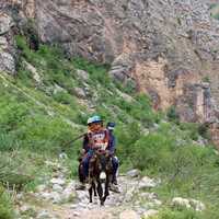 people-riding-a-donkey-on-a-mountain-path