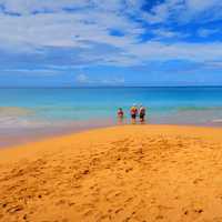 People standing in the shallow water on the beach