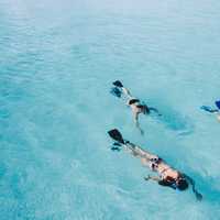 people-swimming-and-diving-in-the-water