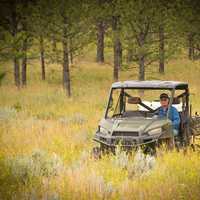 Man in Cart free image