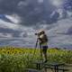 photographer-photographing-sunflowers-at-a-sunflowers-farms