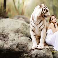 pretty-girl-in-white-dress-next-to-white-bengal-tiger