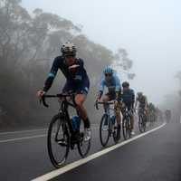 several-cyclists-riding-in-a-row