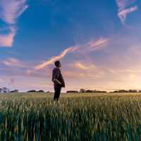 sunset-with-man-standing-in-grassy-field