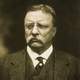 theodore-roosevelt-portrait