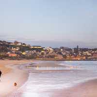 Woman and Dog walking by the ocean