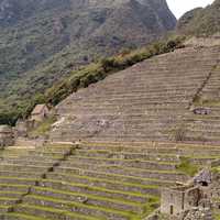 Terrace Steps at Machu Picchu, Peru