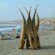 Fisherman Reed boats in Huanchaco, Peru