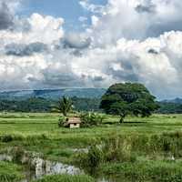 Hut and Stream in the landscape with clouds behind in the Philippines