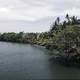 Landscape and forest at the Riverbank in the Philippines