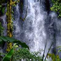 Torrenting Water coming down the waterfalls in the Philippines