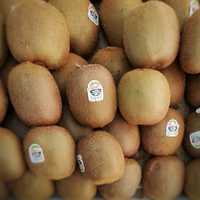 Kiwi Fruit for sale