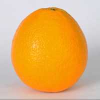 Orange Fruit picture