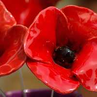 Plastic Red Poppies flowers