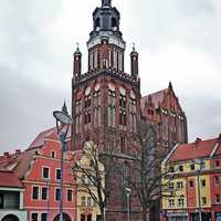 St. Mary's Church with lots of pigeons on the ground in Stargard