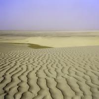 Desert Landscape in Qatar