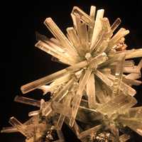 Gypsum V. Selenite