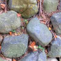 Rocks in Detail