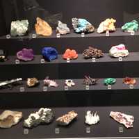 Display case of minerals
