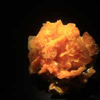 Wulfenite from San Francisco Mine