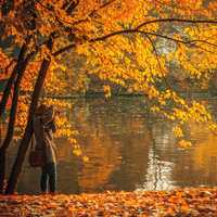 Woman taking photo by the lake in the autumn in Bucharest, Romania