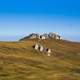 Mountain and Hill landscape in bucovina Romania