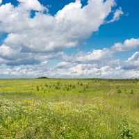 Landscape of the fields under the sky with clouds in Russia