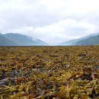 Mountain Landscape in Loch Long, Scotland.