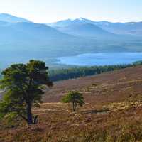 Scottish Highlands Landscape