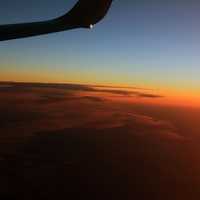 Dusk on the Wing