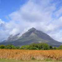 Devil's Peak landscape in Cape Town, South Africa